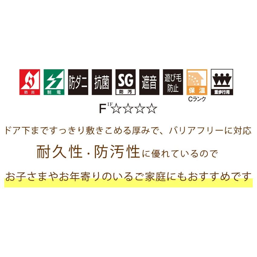 メール便・アスシャリオ2 YESカーペット サンプル | アスワン | 02