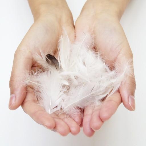 ヌードクッション クッション 中身 座布団 丸型 65 直径65cm アップサイクルフェザー 1.5kg入 日本製 fabrizm 中材 中綿 背当て 緑の募金 円形 爆買 | fabrizm | 03