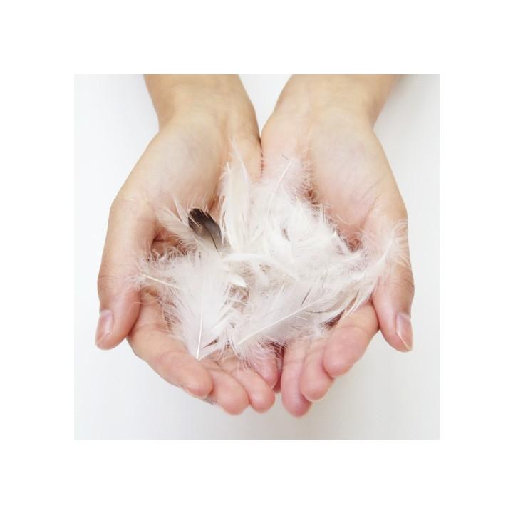 ヌードクッション クッション 中身 座布団 丸型 50 直径50cm アップサイクルフェザー 0.9kg入 日本製 fabrizm 中材 中綿 背当て 緑の募金 円形 爆買 | fabrizm | 05