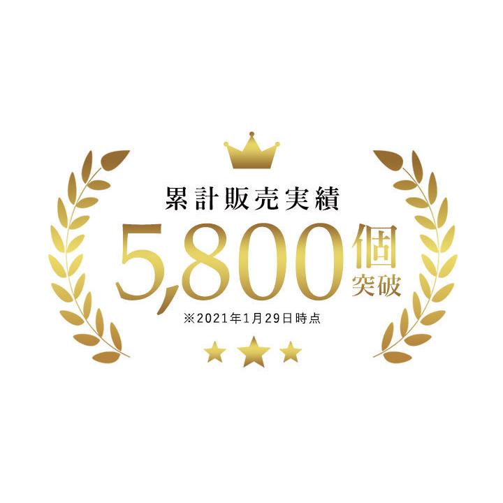 ヌードクッション クッション 中身 圧縮 60×60 60角 ポリエステルわた 帝人クリスター 850g入 日本製 fabrizm 中材 中綿 背当てクッション 爆買 | fabrizm | 05