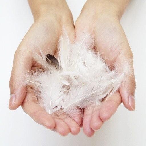 クッションカバー 中身付き 45×45 無地 45角 マイクロスエード＆アップサイクルフェザーヌードクッション 日本製 fabrizm 背当てカバー 爆買 | fabrizm | 06