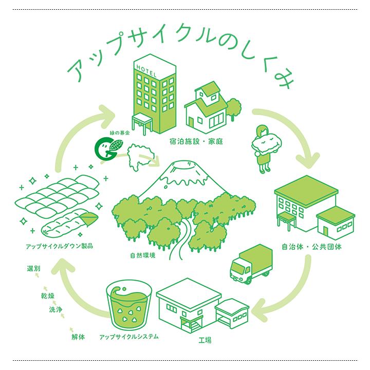 クッションカバー 中身付き 長方形 50×30 nora.＆アップサイクルフェザーヌードクッション 日本製 fabrizm 背当てカバー 枕カバー | fabrizm | 12