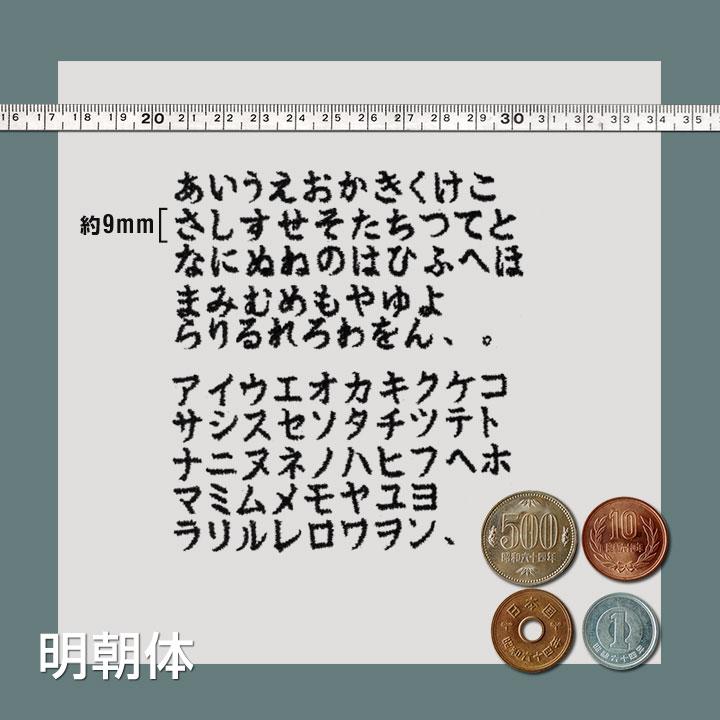 名入れ刺繍オプション エプロン クッションカバー 座布団カバー 爆買 | fabrizm | 12