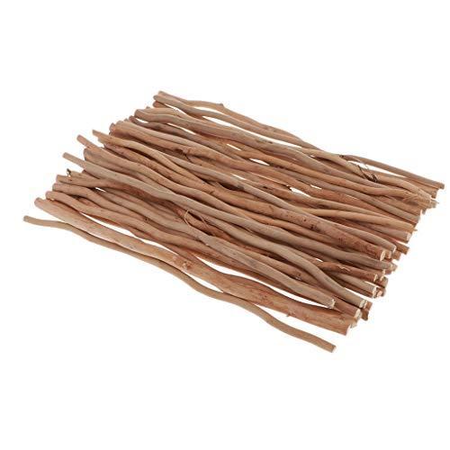 流木 枝 木の枝 約100本入り ハンドメイド材料 木材スティック DIY