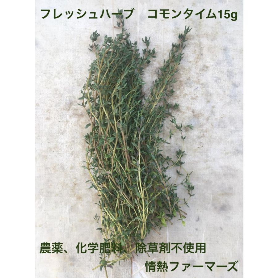 神奈川県産 フレッシュハーブ コモンタイム 15g 農薬 化学肥料 除草剤不使用 ハーブティー 野菜 サラダ 生 業務用 スパイス 割引購入