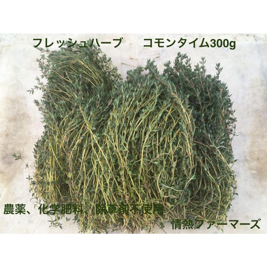 神奈川県産　フレッシュハーブ【コモンタイム】300g 農薬、化学肥料、除草剤不使用（ハーブティー　野菜　サラダ　生　業務用　スパイス）｜jonetsufarmers