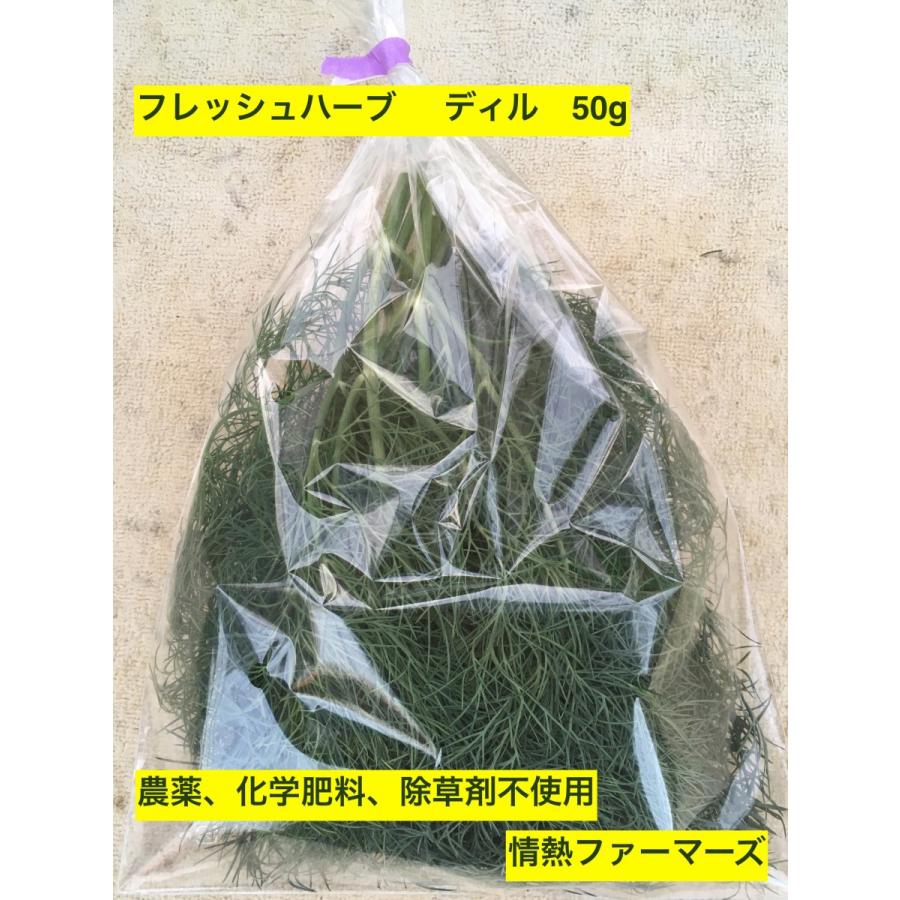 神奈川県産　フレッシュハーブ【ディル】50g 農薬、化学肥料、除草剤不使用（ハーブティー　野菜　サラダ　生　業務用　スパイス）｜jonetsufarmers