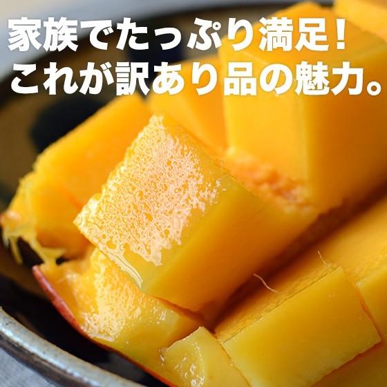沖縄県産 完熟マンゴー 1kg（2〜3玉） 沖縄県宜野座村産 自宅用 送料