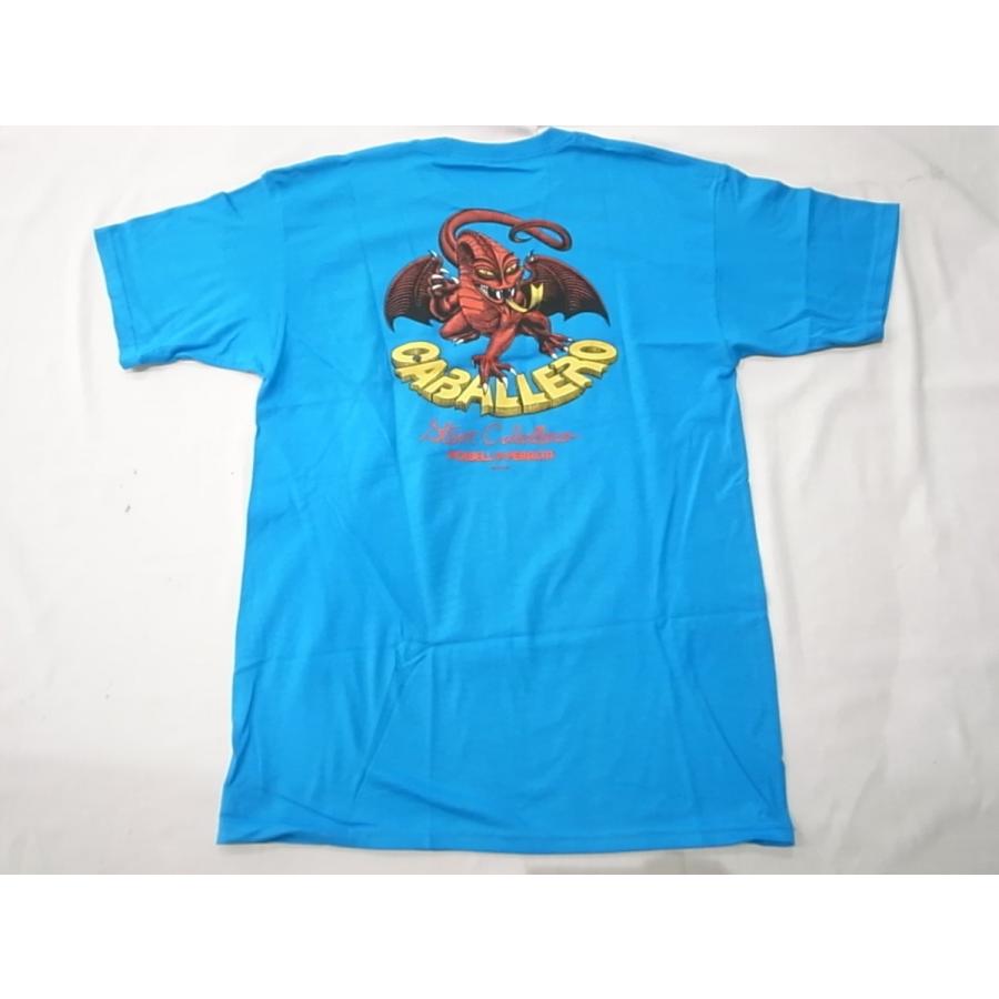 POWELL PERALTA パウエル STEAVE CABALLERO CAB2DRAGON キャバレロ T