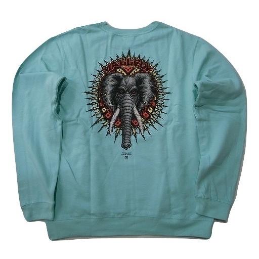 powell peralta パウエルペラルタトレーナー