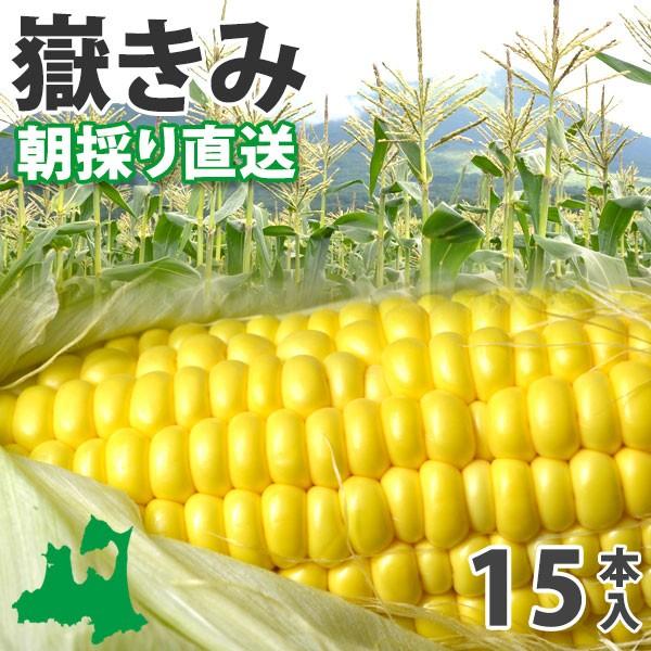 予約販売 嶽きみ だけきみ とうもろこし15本 朝採り直送 L 2l Centrodenutricao
