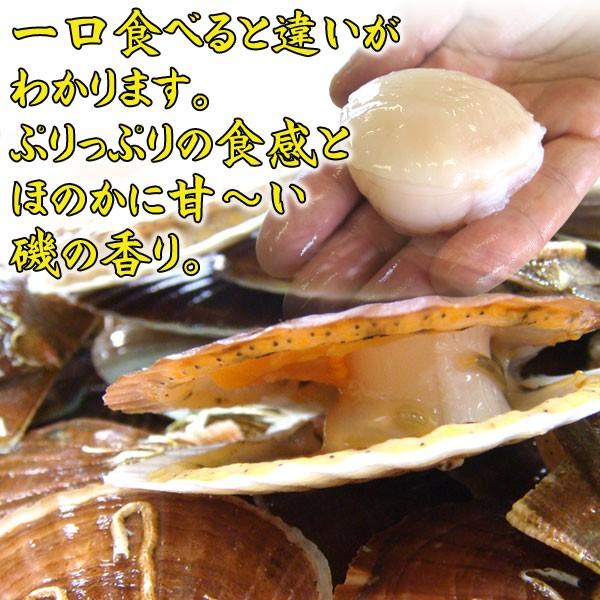 活ホタテ 送料無料 青森陸奥湾産 ホタテ 大 3kg 約18枚前後 ホタテレシピ付 お届け指定日不可 Hi 003 じょっぱりストアヤフー店 通販 Yahoo ショッピング