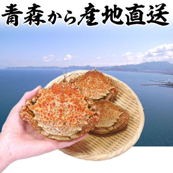 トゲクリガニ 大サイズ メス 約１kg３ ５ハイ 塩茹で 青森陸奥湾産とげくりがに 栗ガニ カニ 蟹 Hi 103 じょっぱりストアヤフー店 通販 Yahoo ショッピング