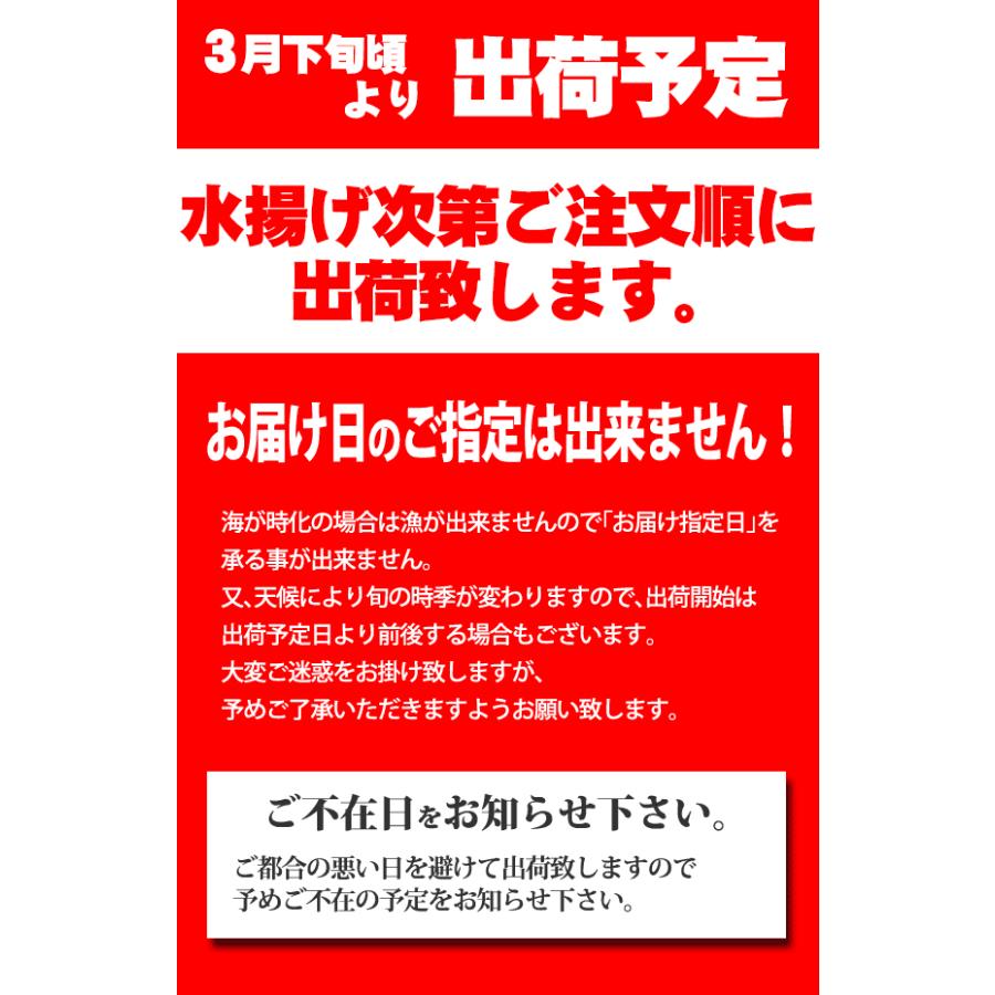トゲクリガニ 大サイズ メス 約１kg３ ５ハイ 塩茹で 青森陸奥湾産とげくりがに 栗ガニ カニ 蟹 Hi 103 じょっぱりストアヤフー店 通販 Yahoo ショッピング