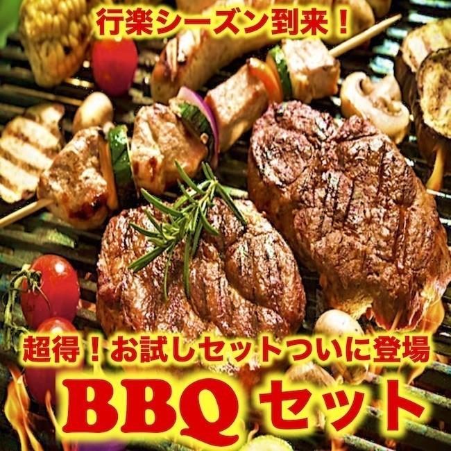 人気ブランドを qセット お肉詰め合わせ 鳥もも 牛ハラミ 牛カルビ 幸楽ホルモン ウインナー ８ １０人前 3 7kg 品 早割クーポン Www Muslimaidusa Org