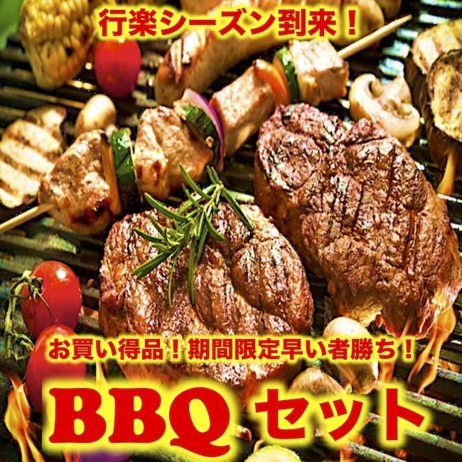 お気にいる バーベキュー q 焼肉 肉 セット ５種類 8 10人前 送料無料 A152 秋田料理わったりぼうず 通販 Yahoo ショッピング 海外輸入 Dp3akb Jatengprov Go Id