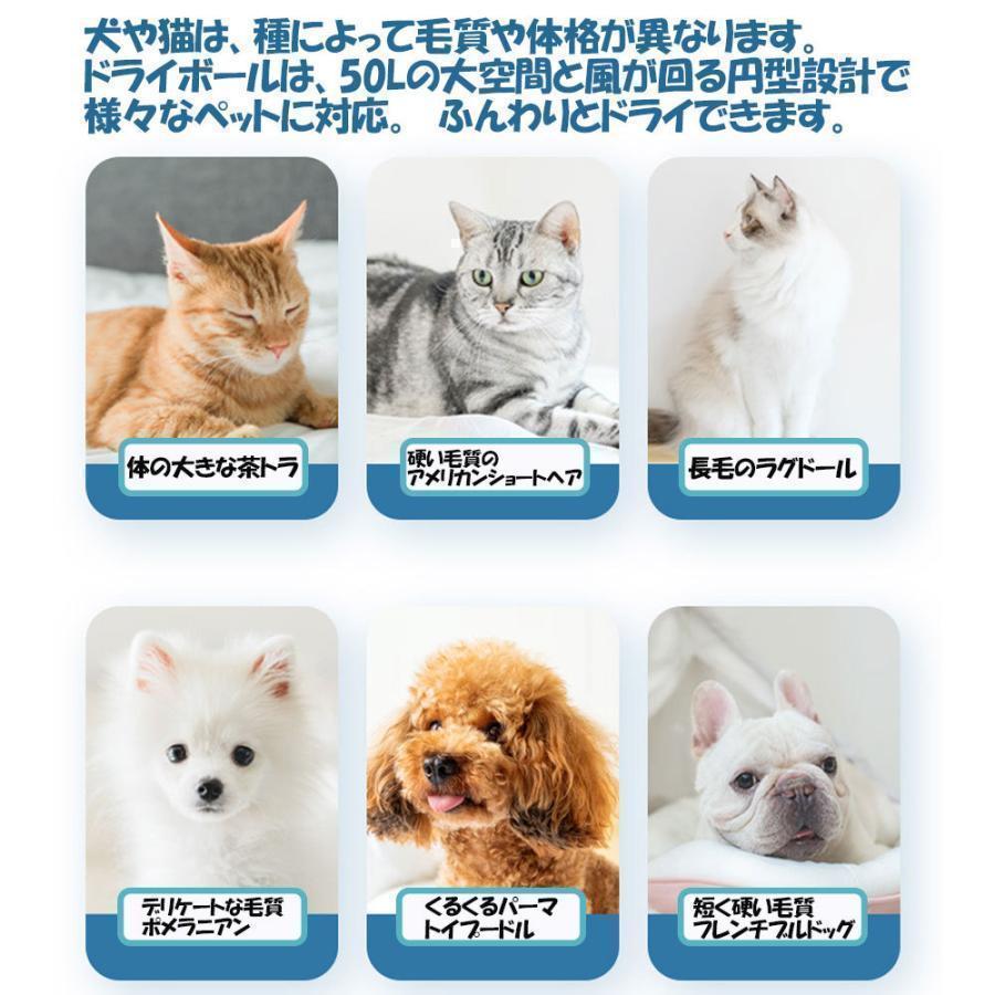 ペット乾燥箱 乾燥ハウス ドライルーム 全自動 静かに乾かせる 犬 猫 完全密閉 お風呂後 小型中型 犬猫兼用 乾燥ケース 速乾 通気 ペットハウス ペット乾燥箱 乾燥ハウス ドライルーム 全自動 静かに乾かせる 犬 猫 完全密閉 お風呂後 小型中型 犬猫兼用 乾燥ケース 速乾 通気 ペットハウス