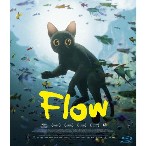 flow 初回限定版 限定特典あり】『Flow』初回限定版Blu-ray | FINE FILMS's STORE