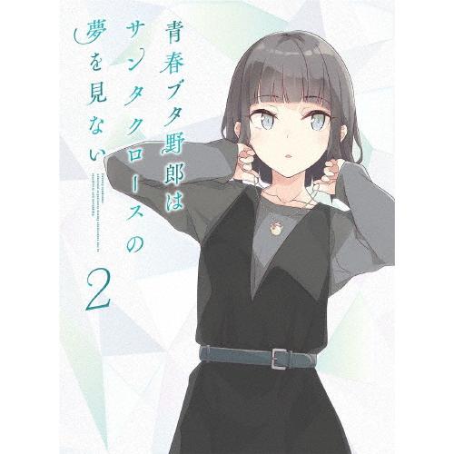 枚数限定][限定版]青春ブタ野郎はサンタクロースの夢を見ない 2(完全 