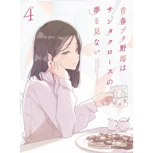 枚数限定][限定版]青春ブタ野郎はサンタクロースの夢を見ない 4(完全 