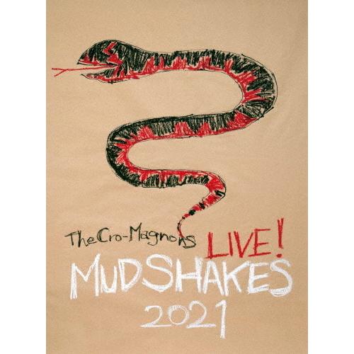 通常盤  ザ・クロマニヨンズ 2DVD/ザ・クロマニヨンズ ライブ ！ MUD SHAKES 2021 21/6/30発売
