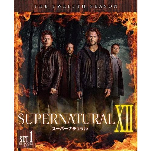 SUPERNATURAL〈トゥエルブ・シーズン〉 前半セット/ジャレッド・パダレッキ[DVD]【返品種別A】｜joshin-cddvd