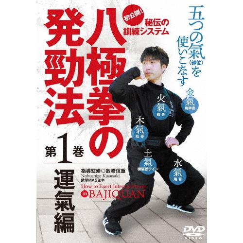 初公開!【八極拳の発勁法 〜秘伝の訓練システム〜】第1巻 運氣編/HOW