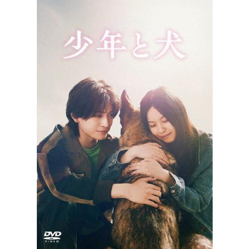 少年と犬 通常版DVD/高橋文哉,西野七瀬[DVD]【返品種別A】 : Joshin
