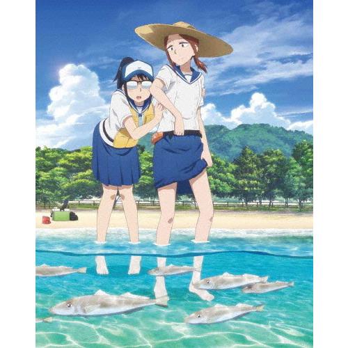 放課後ていぼう当用日記 Vol.3【Blu-ray】/アニメーション[Blu-ray]【返品カテゴリー化A】 DVD、映像ソフト-アニメーション