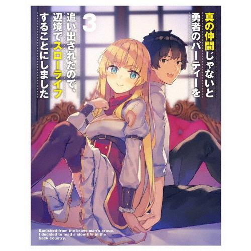 真の仲間じゃないと勇者のパーティーを追い出されたので、辺境でスローライフすることにしました 第3巻【DVD】/アニメーション[DVD]【返品種別A】