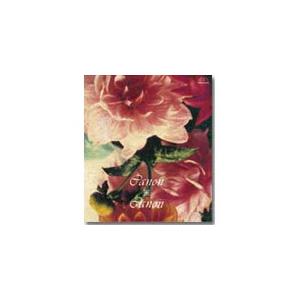 カノン×カノン 〜パッヘルベル・カノン・ヴァリエーション〜/オムニバス(クラシック)[CD]【返品種別A】｜joshin-cddvd