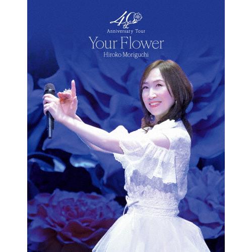 大人気 4988003894979 型番:4988003894979