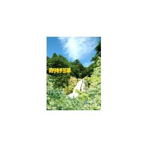 釣りキチ三平/須賀健太[DVD]【返品種別A】｜joshin-cddvd