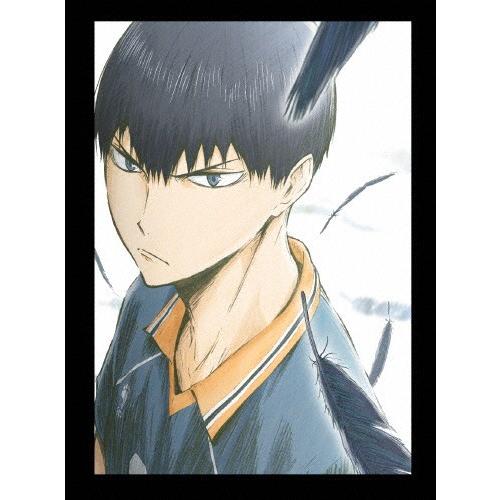 ハイキュー 烏野高校 Vs 白鳥沢学園高校 Vol 5 Dvd アニメーション Dvd Qualitystaffinghomecare
