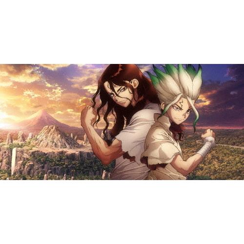 メール便なら送料無料 Dr Stone 2nd Season Dvd Box アニメーション Dvd 返品種別a 日本最大級 Krgproperty Com