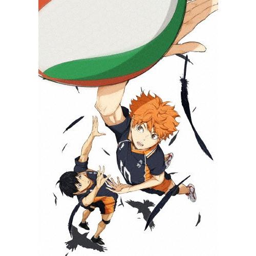 ハイキュー!! vol.1 DVD/アニメーション[DVD]【返品種別A】 : Joshin 