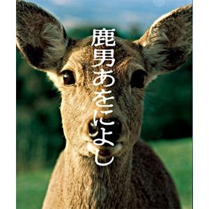 鹿男あをによし DVD-BOX ディレクターズカット完全版/玉木宏[DVD]【返品種別A】