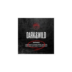 枚数限定 1ST ALBUM : DARK BTS 輸入盤 返品種別A 卸売り WILD CD 2020モデル
