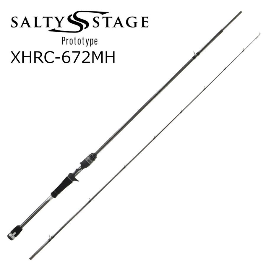 Abu Garcia（アブガルシア） ソルティーステージ プロトタイプ ロック