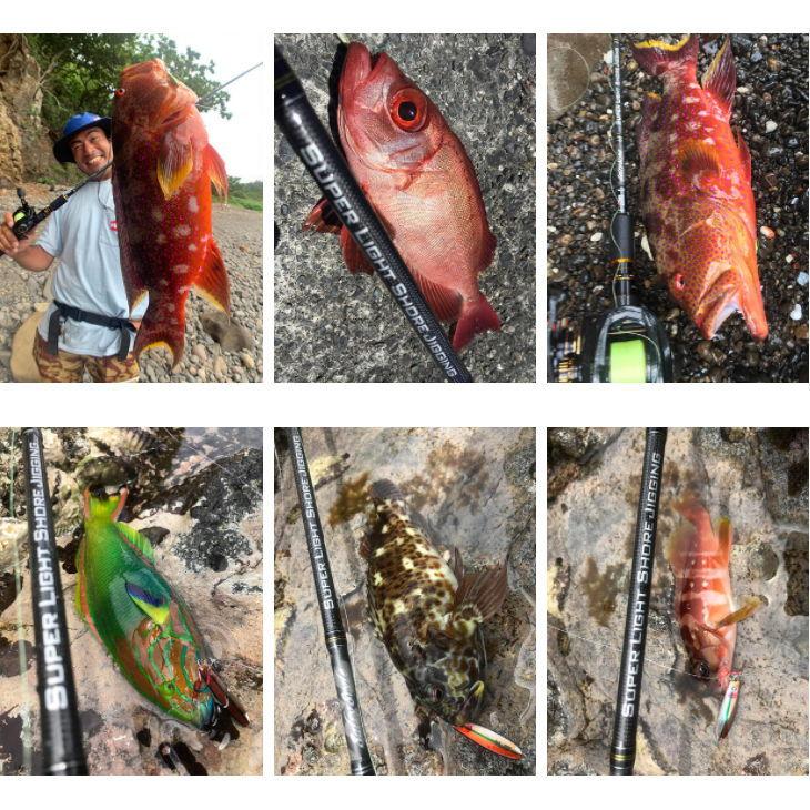 アブガルシア ソルティスタイル スーパーライトショアジギング Ssjc 2l Kr 8 9ft L 2ピース ベイト 返品種別a Joshin Web 通販 Paypayモール