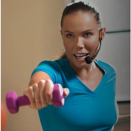 SHURE シュア フィットネスヘッドセットコンデンサー