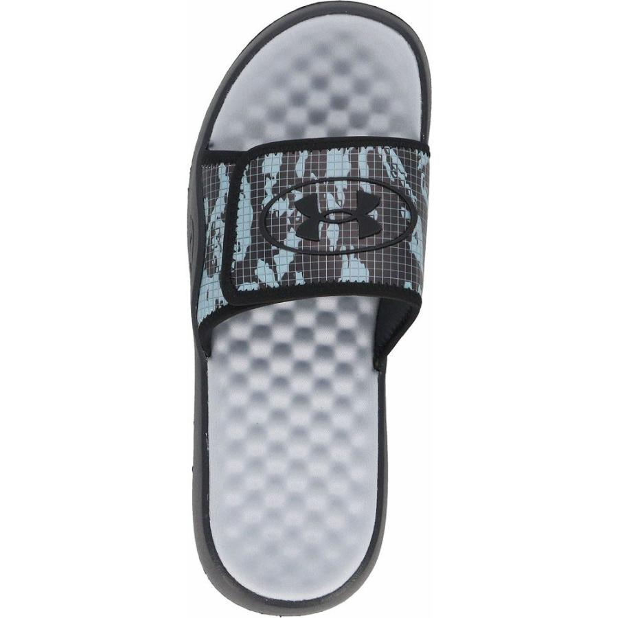 nasufarm様ご予約品 パンパスグラス苗【ホワイト】3点 ホワイト