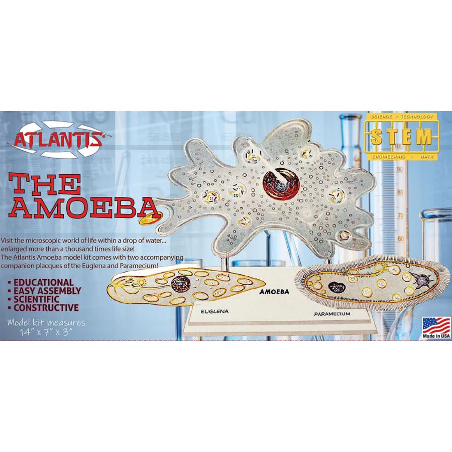 アトランティスモデル Nonスケール ミクロの世界 アメーバ ミドリムシ ゾウリムシ Amcl3800 プラモデル 返品種別b Joshin Web Paypayモール店 通販 Paypayモール