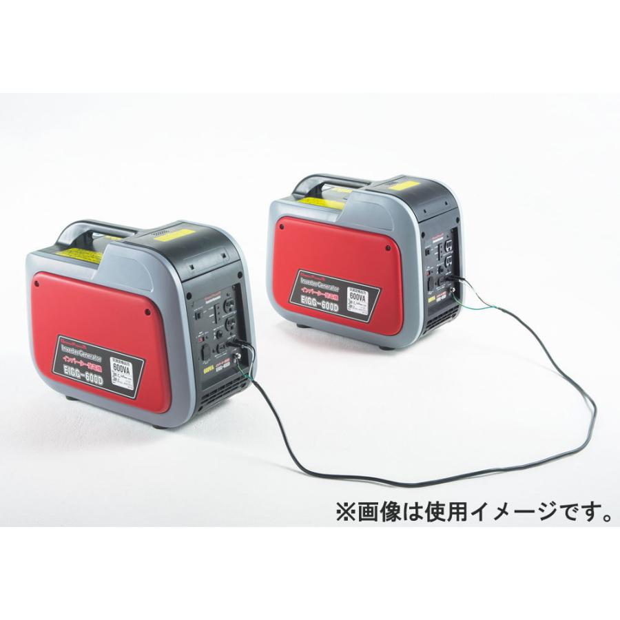 DREAM POWER カセットボンベ式インバーター式発電機 (発電機のみ
