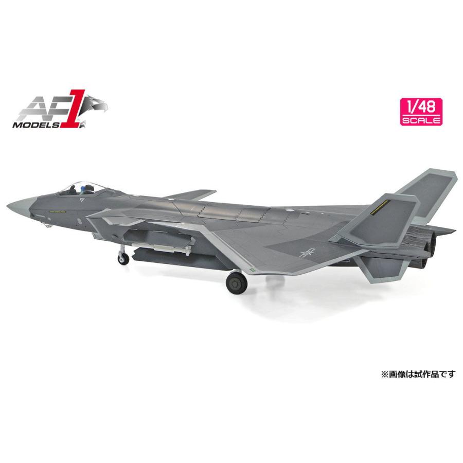 エアフォースワン 1/ 48 中国人民解放軍空軍 ステルス戦闘機 J-20(AF0165)塗装済完成品 返品種別B｜joshin｜06