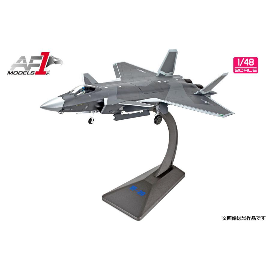 エアフォースワン 1/ 48 中国人民解放軍空軍 ステルス戦闘機 J-20(AF0165)塗装済完成品 返品種別B｜joshin｜08