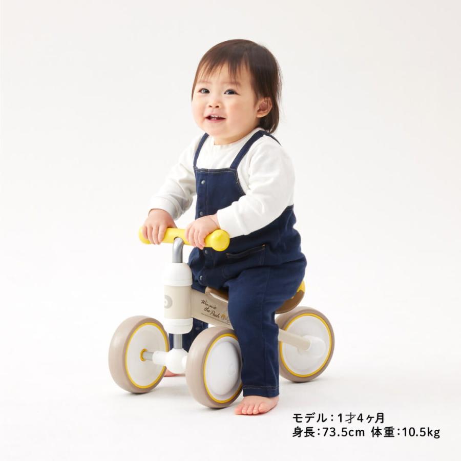 日本人気商品 アイデス D-Bike mini ワイド プー 返品種別B