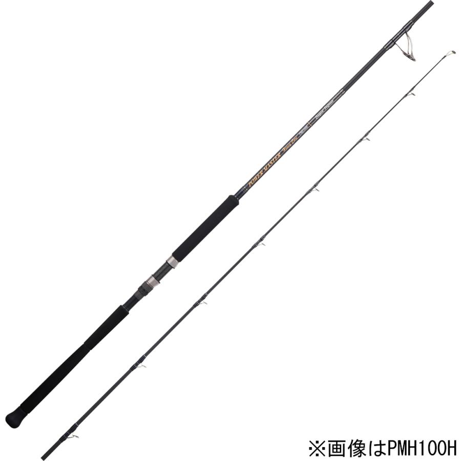 人気特価激安 天龍 パワーマスター ヘビーコア 11 0ft H 2ピース スピニング Tenryu Power Master Heavy Core ショアジギング ショアキャスティング Pmh110h 返品種別a 超人気 Aleefsurgical Com