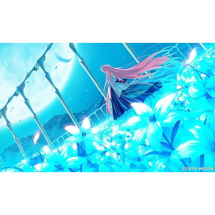 アニプレックス (Switch)月姫 −A piece of blue glass moon− 通常版