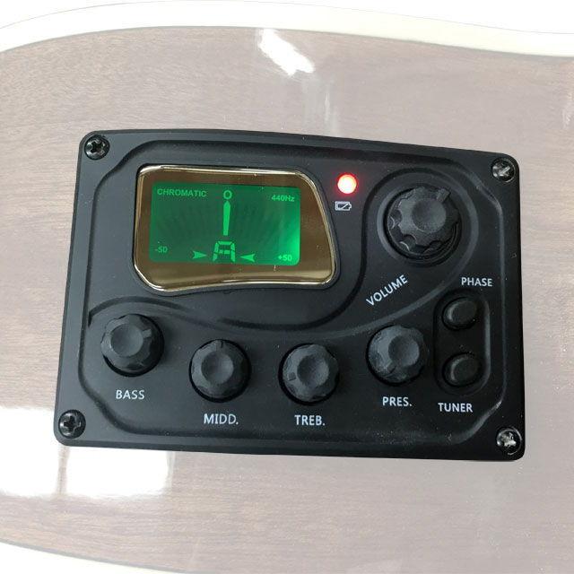 セピアクルー エレクトリックアコースティックギター(ブルーサン